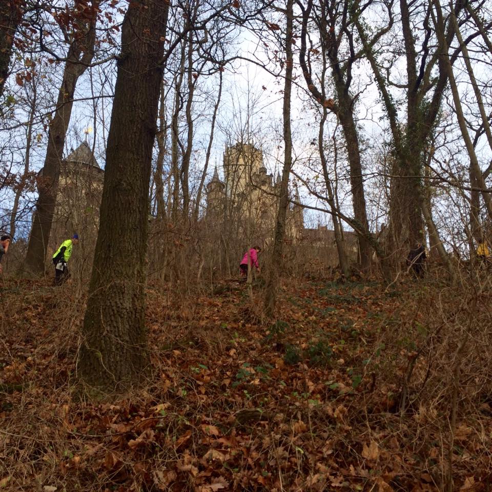 Schloss Marienburg Marathon