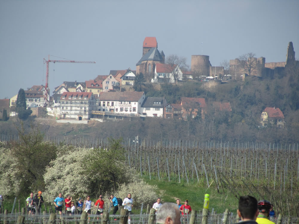 Marathon Deutsche Weinstraße 2016