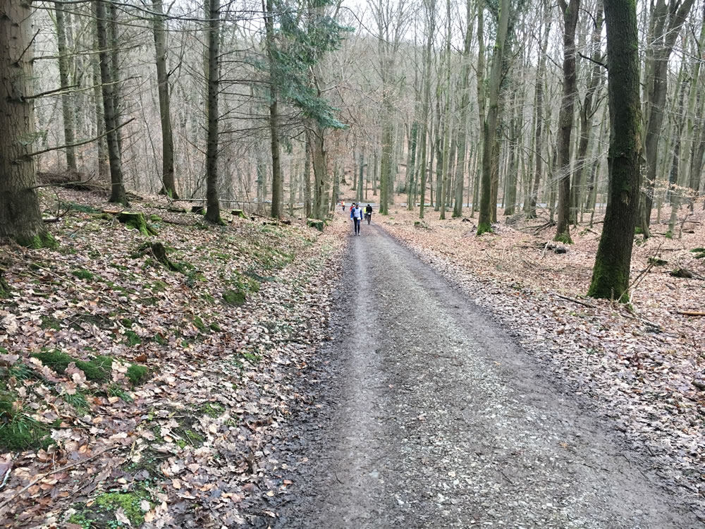 Bad Salzuflen Marathon 2017