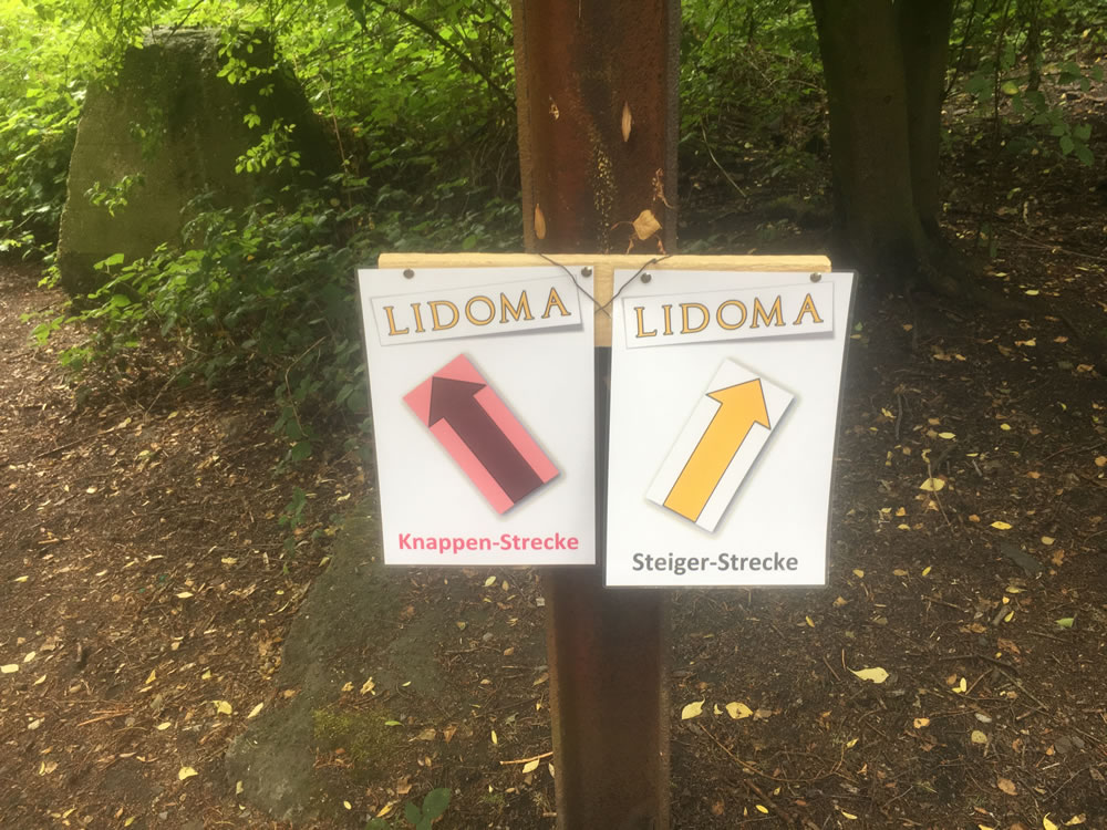 Lidoma IX